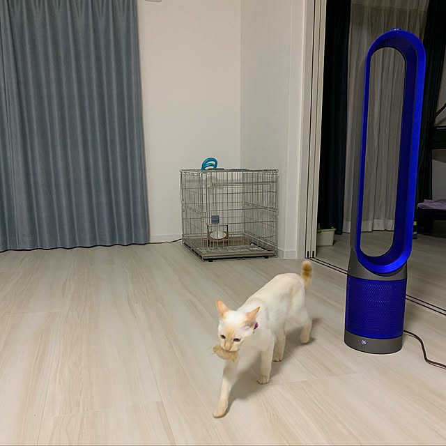 写真付きレビュー ダイソン 扇風機 空気清浄機能付ファン ピュア クール Dyson Pure Cool Tp00ib アイアン ブルー Tp00 Ib 国内正規品 送料無料 Kk9n0d18p の通販商品 口コミ情報 Roomclipショッピング