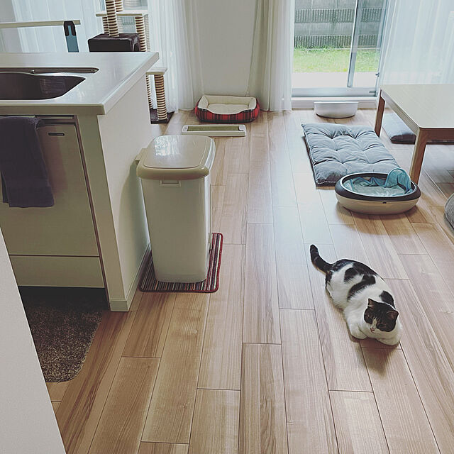 hemukoのリッチェル-リッチェル 猫用トイレ本体 ラプレ ネコトイレ ダークグレー M サイズの家具・インテリア写真