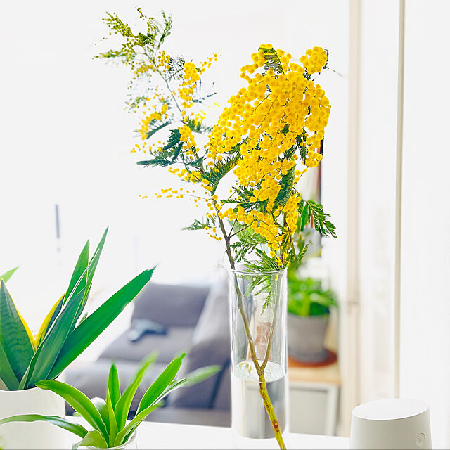 matyのイケア-IKEA CYLINDER シリンデル花瓶3点セット, クリアガラス601.752.14【メール便不可】の家具・インテリア写真