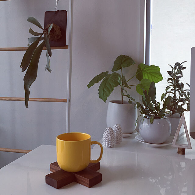 emの-【資材】 壁掛け 植物 ストーンウッドプレートの家具・インテリア写真
