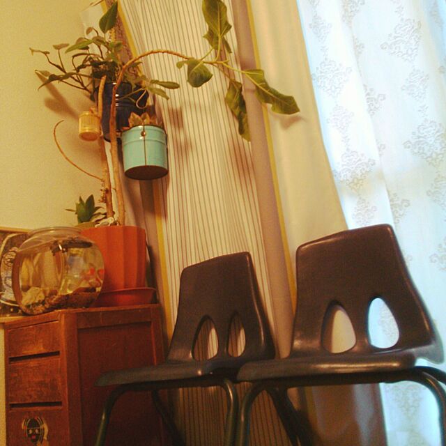 Mikajinkoの吉田飼料-おしゃれなガラス製金魚鉢 太鼓鉢 大（７．６リットル）の家具・インテリア写真