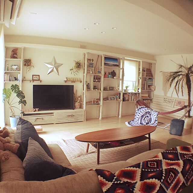 sunny_smileの-キセログラフィカLサイズ（16−20センチ）エアープランツの家具・インテリア写真