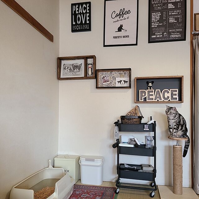 lovepeaceの東谷-運べる防臭ペール 10L ホワイト HOME&amp;HOMEの家具・インテリア写真