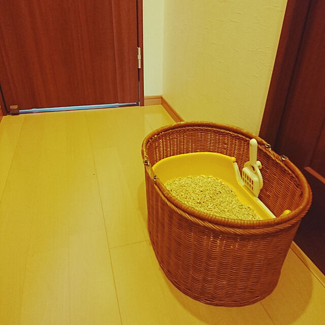 maoshinの花王-ニャンとも清潔トイレセット [約1か月分チップ・シート付] 猫用トイレ本体 すいすいコンパクト アイボリー&ペールオレンジ 子猫、小柄な猫用の家具・インテリア写真