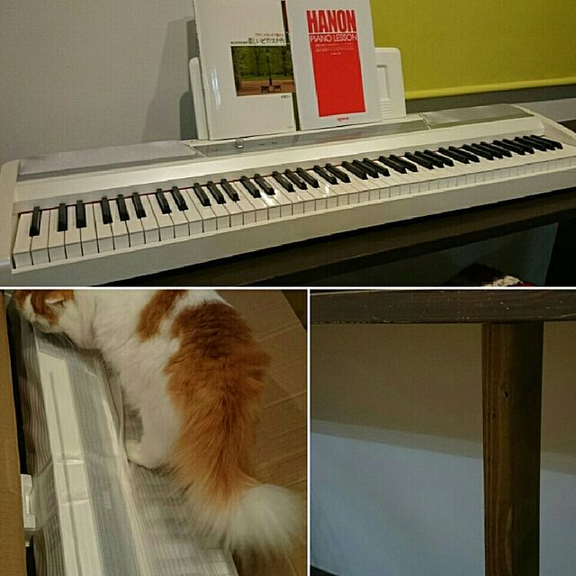 1ldksのKORG(コルグ)-KORG 電子ピアノ SP-170S 88鍵 ホワイトの家具・インテリア写真