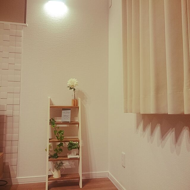 Natsukiの-ラダーシェルフ5段*ディスプレイラック・花台に　はしご型の飾り棚の家具・インテリア写真