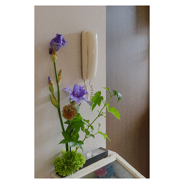 traumemaiの-【ギフト対応無料】naft 水盤 雫影 しずか SLIM 墨黒×銀鼠[床の間などに飾るまるで日本庭園のような水紋がおしゃれなミニ水盤 リビングの和風アレンジにコンパクトな生け花(花)の花器 正月飾りや床の間に]の家具・インテリア写真