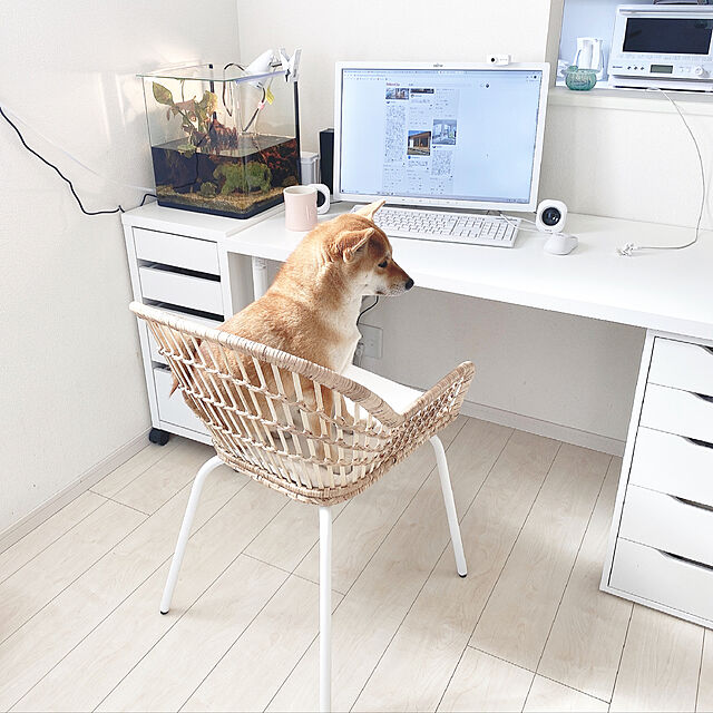 natsumiのIKEA (イケア)-IKEA(イケア) LINNMON テーブルトップ ホワイトの家具・インテリア写真
