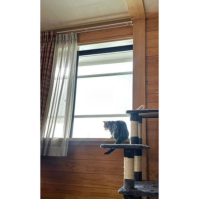 yumiの-Mwpo 富士山ようなハウス キャットタワー 猫タワー 大型猫 麻紐 172cm 巨大サイズ 2つハンモック 匂いなし 多頭飼い 転倒防止 安定性 022Dの家具・インテリア写真