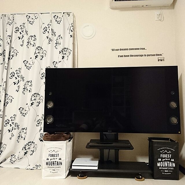 hayakiのハヤミ工産-TIMEZ(タイメッツ)壁寄せテレビスタンド ~60ｖ型対応 高さ調節可能 KF-850の家具・インテリア写真