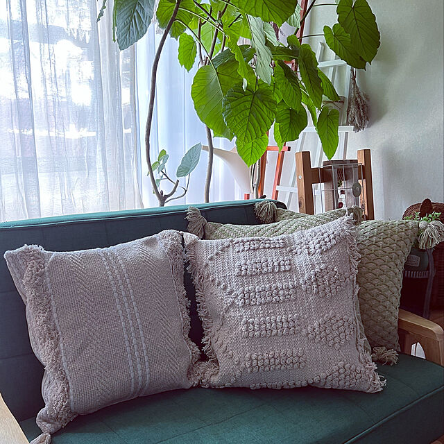 mohhaのニトリ-ヌードクッション(フンワリツツミコム2 45x45) の家具・インテリア写真