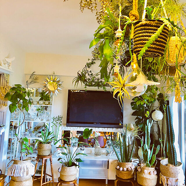 erikoの-LAND PLANTS アガベ アテナータ デザインの良いテラコッタ鉢の家具・インテリア写真