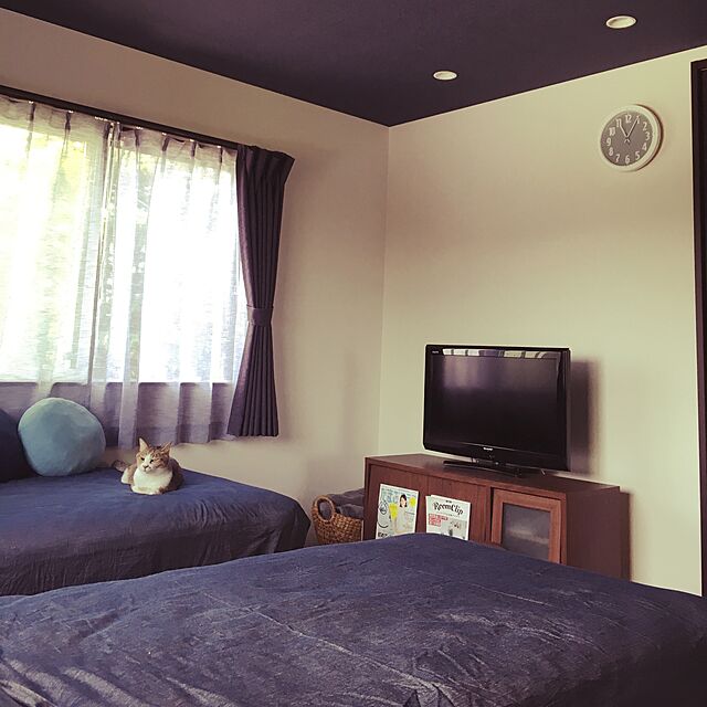 mimooのニトリ-レースカーテン(ウィーク 100X108X2) の家具・インテリア写真
