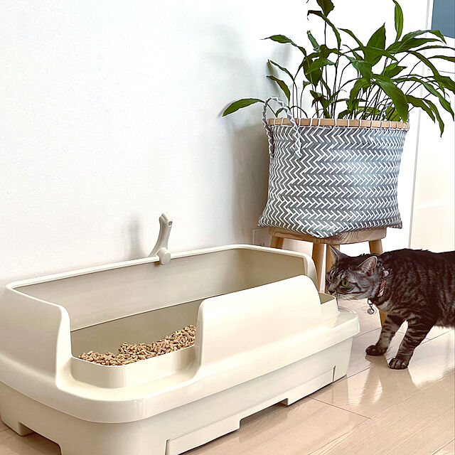 KAZUMAの花王-ニャンとも清潔トイレセット [約1か月分チップ・シート付]猫用トイレ本体のびのびリラックスライトベージュの家具・インテリア写真