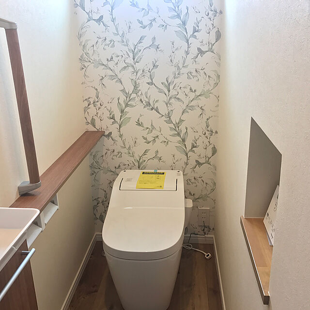 fujikoの-壁紙 クロス 国産壁紙(のりなしタイプ)/サンゲツ 植物柄 RE-2810(販売単位1m)の家具・インテリア写真