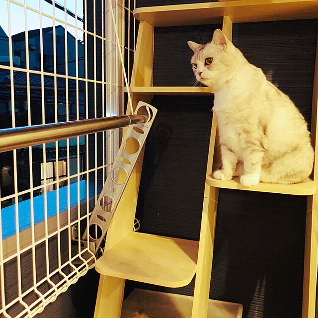 sakura_171220のコンポジット-ottostyle.jp キャットシェルフ 【ビーチ】 インテリア調 猫タワー おしゃれ 運動 棚 立てかけ 据え置きの家具・インテリア写真