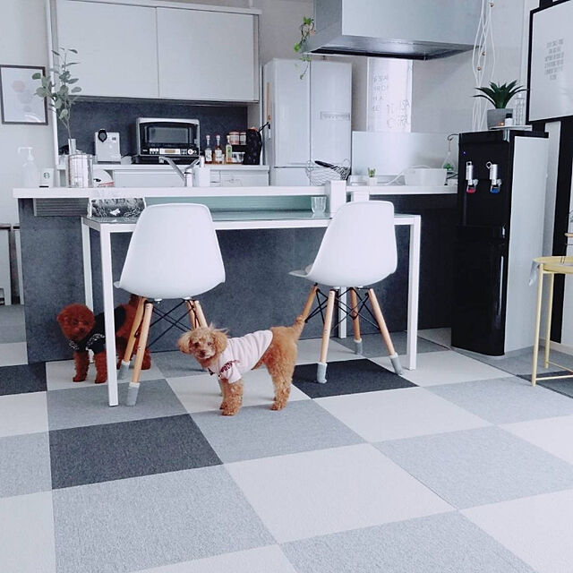 Tarutoのサンコー-サンコー おくだけ吸着 撥水タイルマット 30×30cm 8枚入/防音 国産 廊下 フローリング 滑り止め 犬 猫 床 保護 カーペットの家具・インテリア写真