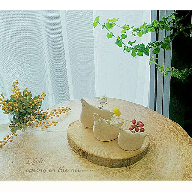 umiumiの-花かんざし 苗 3.5号 ハナカンザシ 押し花素材にも 白花 ドライフラワー材料 240301の家具・インテリア写真
