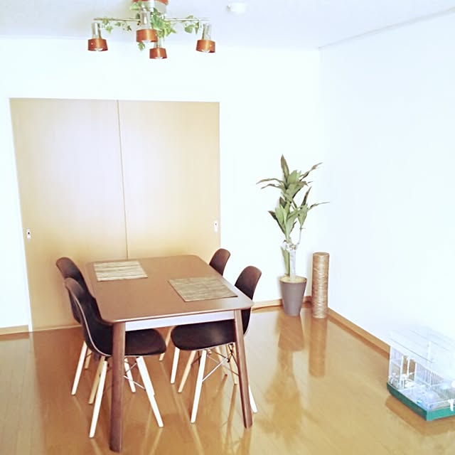 tukudaniの-Takumi Light 『Sizixi』 リモコン対応 4灯クロスシーリングライト ウッドシェード 壁電源で簡単切り替え E26口径タイプ (クローム×ダークブラウン)の家具・インテリア写真