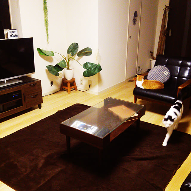 noguchiken0102の東芝-東芝 32V型 液晶 テレビ 32S8 ハイビジョンの家具・インテリア写真