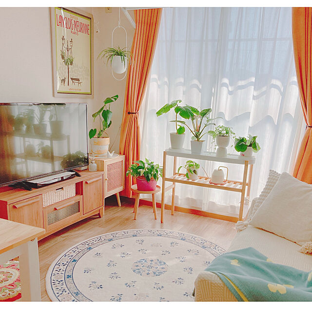 yuyuのBRUNO-ブルーノ BRUNO ハンディ＆プレススチーマーの家具・インテリア写真