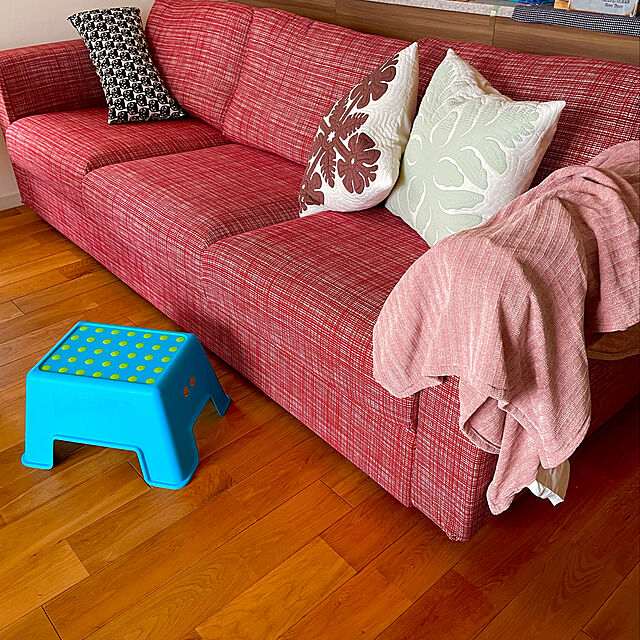 Eriのイケア-BOLMEN ボルメン ステップスツールの家具・インテリア写真