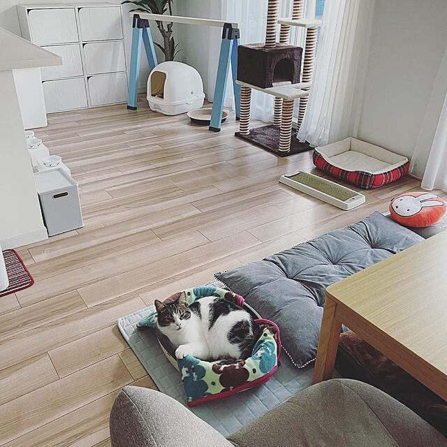 hemukoのリッチェル-リッチェル 猫用トイレ本体 ラプレ ネコトイレ ダークグレー M サイズの家具・インテリア写真
