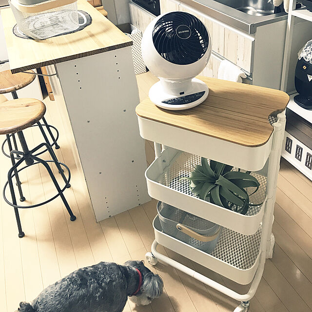 tamaeのアイリスオーヤマ-扇風機 サーキュレーター アイリスオーヤマ 静音 小型 おしゃれ 首振り 18畳 コンパクト ボール型 上下左右首振り PCF-SC15Ｔ 新生活の家具・インテリア写真