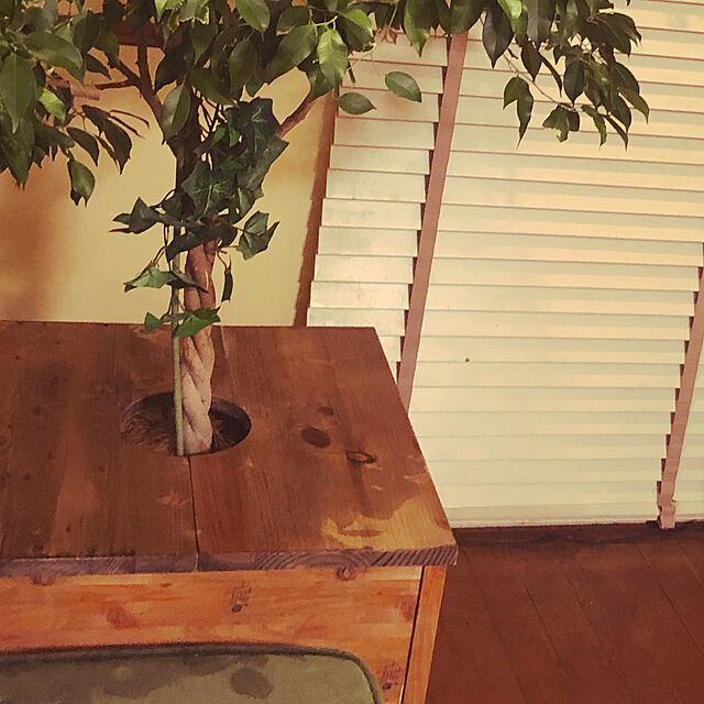 kekeの-プランター テーブル プレート 正方形 カバー 蓋 ふた 天板 53.5cm L 木 製 ウッド 植木 鉢 植え テーブル サイド おしゃれ 北欧 家具 インテリア 西海岸 a-5の家具・インテリア写真
