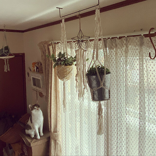 Lufuのイケア-FEJKA フェイカ 人工観葉植物の家具・インテリア写真