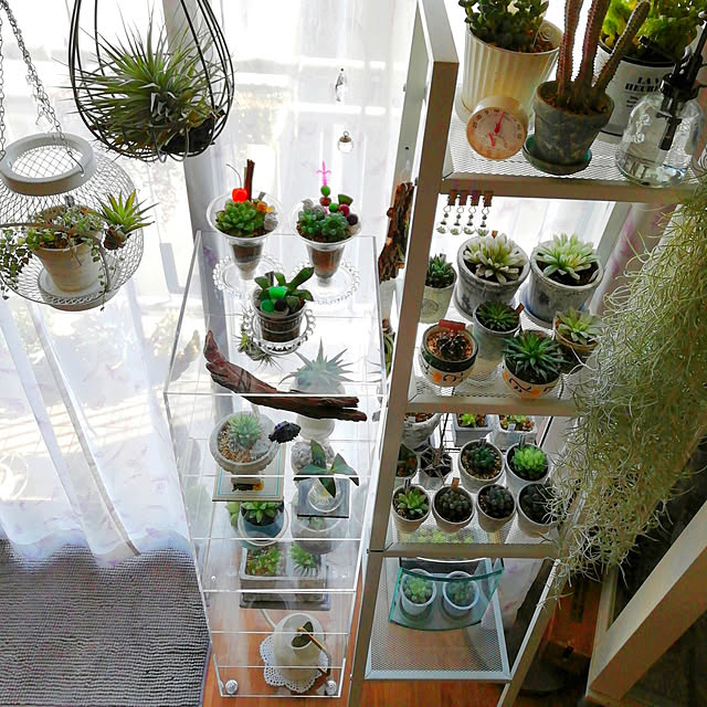 KUROSHIO アクリリック３段ｘ２個組 アクリルラック アクリル収納 透明