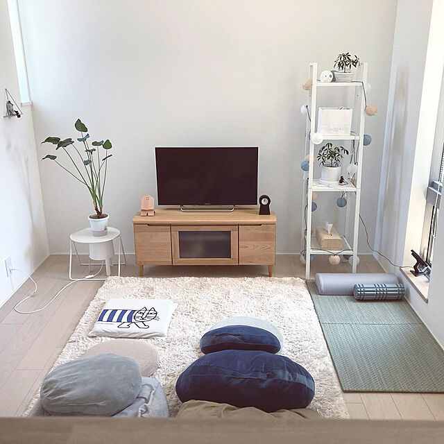 suna_kitsuneのニトリ-モチモチクッション 2個セット(N40R NV) の家具・インテリア写真