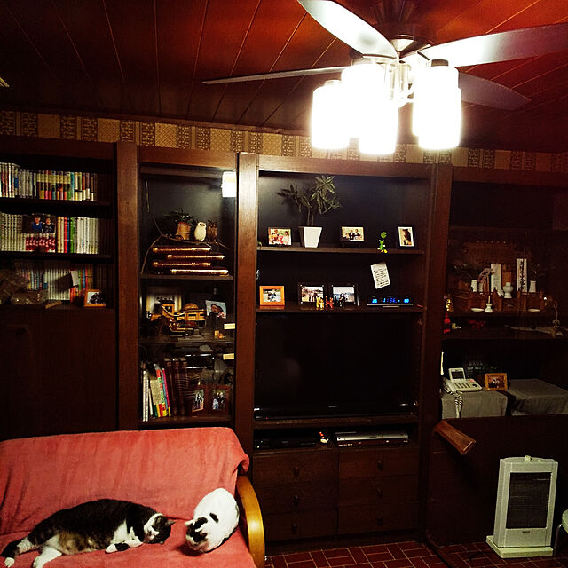 knc3の-TAKIZUMI 瀧住 シーリングファン LEDタイプ TLFR5010の家具・インテリア写真