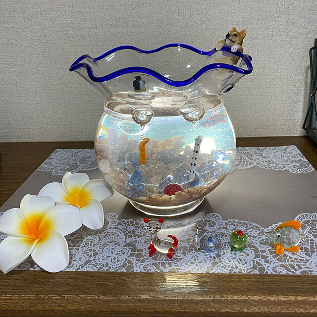 chIoeのニッソー-ニッソー 金魚鉢 (大)の家具・インテリア写真