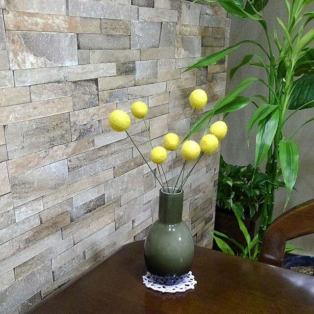 Renの-観葉植物(生花)ドラセナ サンデリアーナ陶器鉢(プラ鉢皿付)高さ25cm〜40cmの家具・インテリア写真