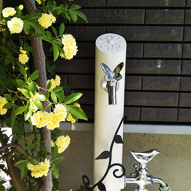MMYS+harinezumiの-バタフライ 横水栓チェロ（クロム）　ガーデニングの水道蛇口【ガーデニング水栓】の家具・インテリア写真