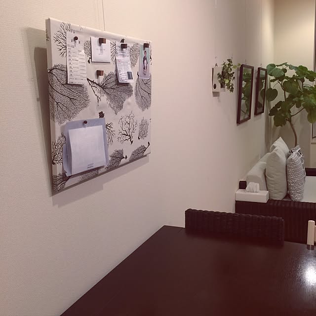 nanakoの無印良品-壁にかけられる観葉植物の家具・インテリア写真