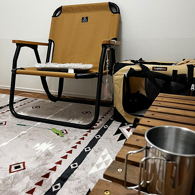 jagaricoのFEANDREA(フィ アンド レア)-FEANDREA ペットキャリー 折りたたむ 変形しない犬用キャリー 4面メッシュ ブラック 60×42×42cm PDC60Hの家具・インテリア写真
