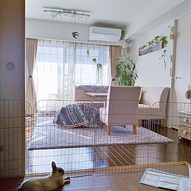makiの-GEX ジェックス ラビットサークル H65 モダンリビング 【うさぎ サークル】の家具・インテリア写真
