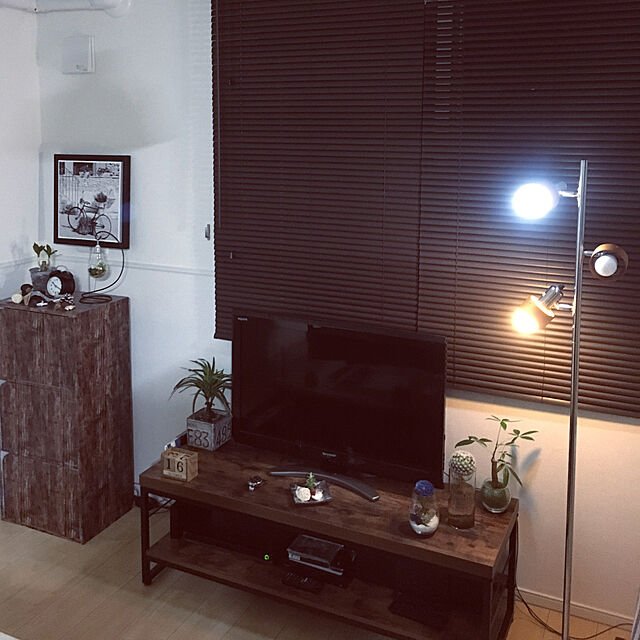 kentagramのニトリ-グリーンポット ドラセナ M(アレンジG F179-PU394/57NT) の家具・インテリア写真