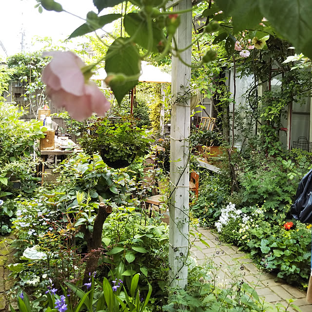 yukkoの-Garden&Garden 2019年3月号[本/雑誌] (雑誌) / エフジー武蔵の家具・インテリア写真