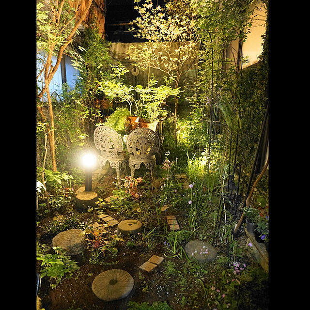 aromameの-タカショー ひかりノベーション 木のひかり 豪華セット 4975149756964S（ 明るい ガーデンライト 樹木 照らす 庭 照明 ライトアップ おしゃれ 屋外照明 間接照明 ）の家具・インテリア写真