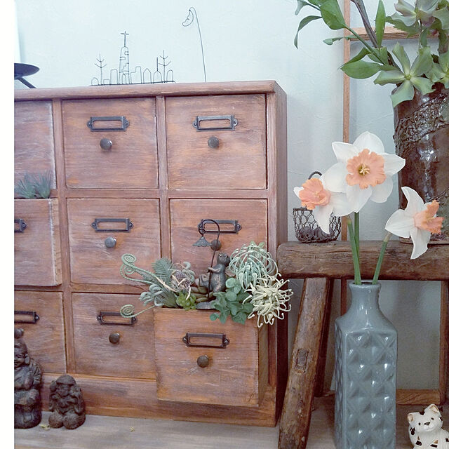 chocoの-花の大和 球根 水仙 ラッパ咲き ピンクパラソル2球セットの家具・インテリア写真