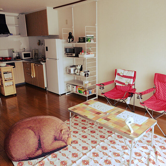 bonoのニトリ-ワイヤーシェルフ Nポルダディープ(ホワイトウォッシュ) の家具・インテリア写真