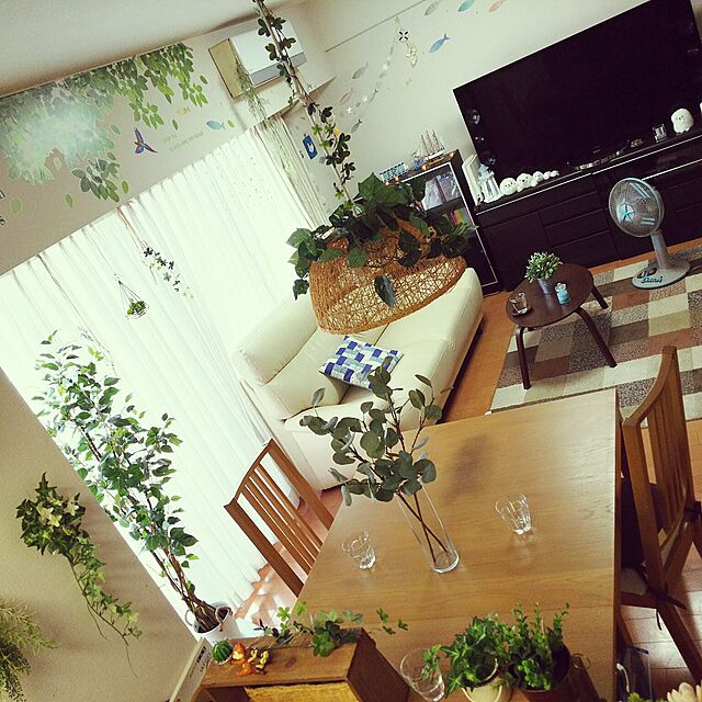 summyのイケア-[IKEA社製] FEJKA 人工観葉植物, ハーブ, アソートプランツの家具・インテリア写真