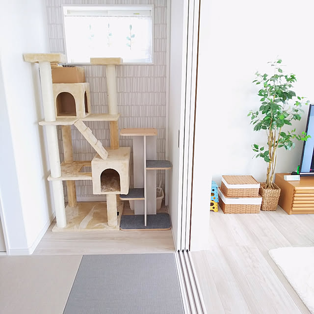 honobono.の-インテリアキャットタワーの家具・インテリア写真