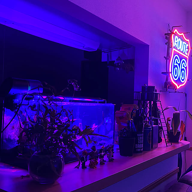 ネオンクロック 掛け時計 ルート66 ネオン管 レトロ 什器 インテリア