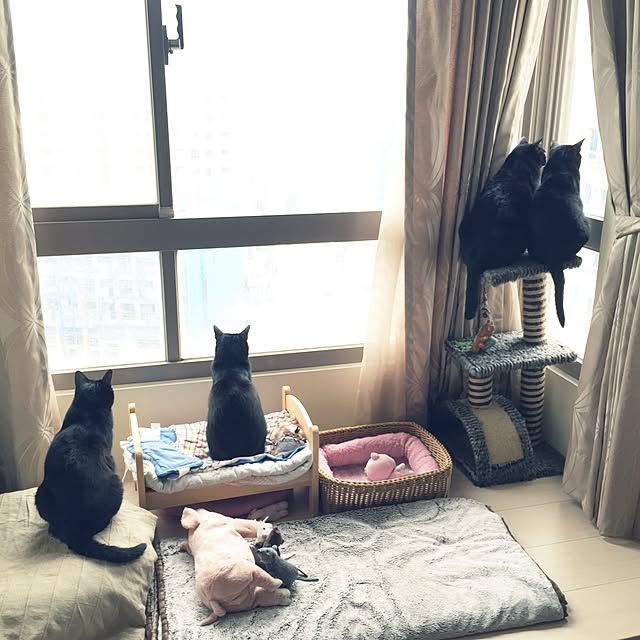 【写真付きレビュー】イケア Ikea Knorrig Pig Hog Farm Stuffed Animal Childrens Soft