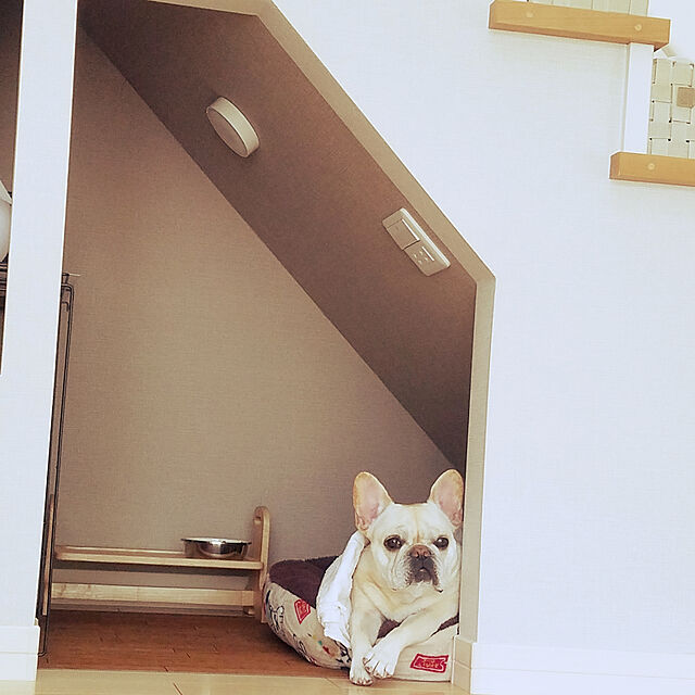 yumeの-ウッディーダイニング S(1コ入)【ドギーマン(Doggy Man)】の家具・インテリア写真
