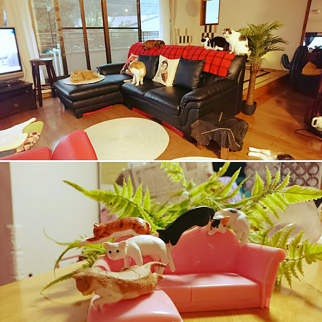 uchizukonyanのエポック社-エポック(EPOCH) ダラ猫天国の家具・インテリア写真